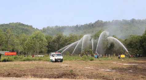 Diễn tập phòng cháy, chữa cháy tại rừng phòng hộ Núi Cậu