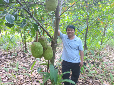 Phát huy vai trò kinh tế tập thể trong việc hình thành sản phẩm đặc trưng