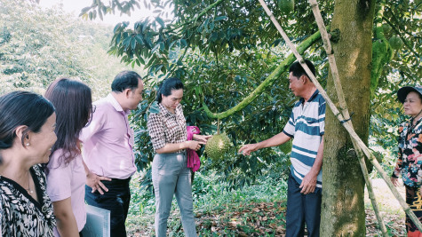 Vốn vay giải quyết việc làm phát huy hiệu quả