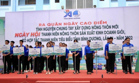 Ngày hoạt động cao điểm tình nguyện chung tay xây dựng nông thôn mới