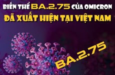 Biến thể BA.2.75 của Omicron đã xuất hiện tại Việt Nam