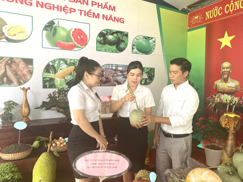 Dáng dấp làng thông minh đang từng bước hình thành