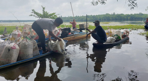 Nỗ lực tái tạo và phát triển nguồn lợi thủy sản