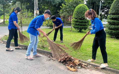 Tuổi trẻ Bình Dương ra quân Ngày Chủ nhật xanh