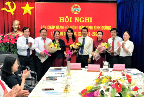 Hội Nông dân tỉnh: Bầu bổ sung ban chấp hành, ban thường vụ và phó chủ tịch hội