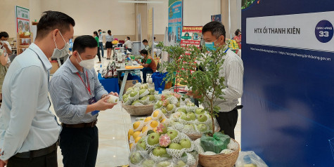 Tìm giải pháp đưa nông sản lên nền tảng đa kênh