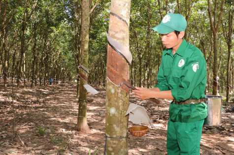 Yêu nghề, gắn bó với nghề