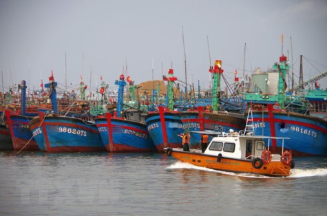 Các tỉnh, thành từ Quảng Ninh đến Bình Thuận chủ động ứng phó bão