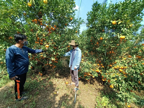 Đẩy mạnh thực hiện nhiệm vụ khoa học và công nghệ:Thúc đẩy kinh tế phát triển