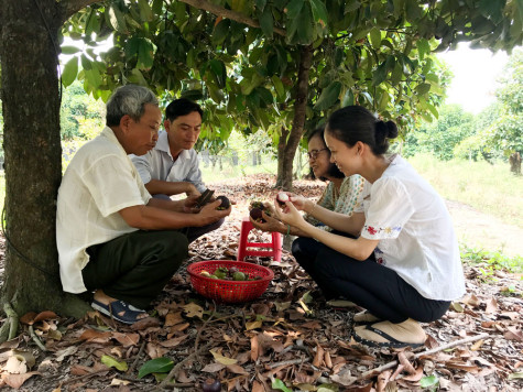 Ông Huỳnh Văn Dân, Phó Bí thư Thường trực Huyện ủy Dầu Tiếng: Hỗ trợ người dân làm giàu trên mảnh đất quê hương