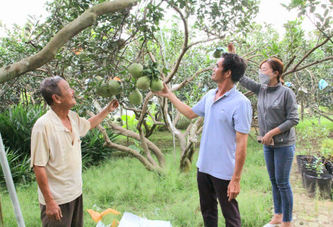 Liên kết tiềm năng để thúc đẩy du lịch sinh thái phát triển