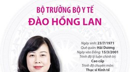 Tiểu sử Bộ trưởng Bộ Y tế Đào Hồng Lan