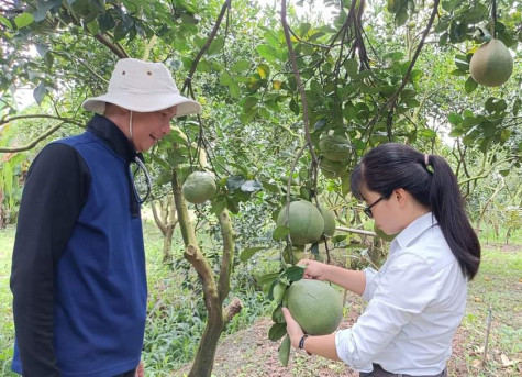 Làm giàu cho mình, góp sức cho địa phương