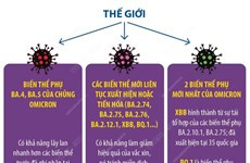 WHO: Vaccine vẫn có giá trị bảo vệ cao trước đại dịch COVID-19