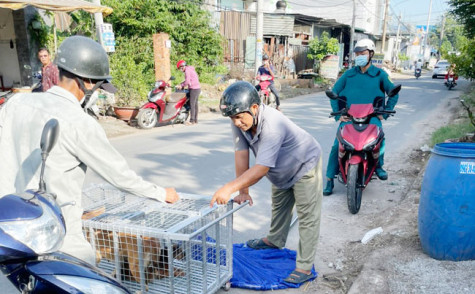 Thông tin tiếp theo sau loạt bài “Chấn chỉnh tình trạng nuôi chó thả rông”: Cần sự vào cuộc quyết liệt từ chính quyền cơ sở