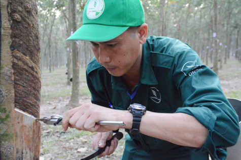 Lan tỏa tinh thần thi đua lao động