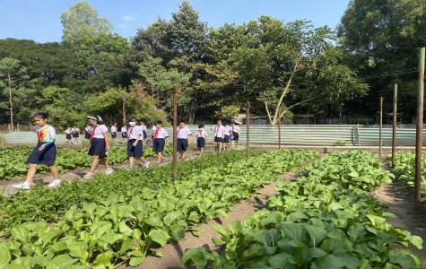 Hơn 300 học sinh tham gia chương trình “Một ngày em làm chiến sĩ”