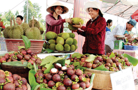 Người Bình Dương, từ dân cố cựu đến thị dân hiện đại