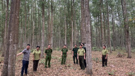 Chủ động phòng, chống cháy rừng mùa hanh khô