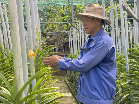 Nông dân Thuận An: Vươn lên làm giàu nhờ ứng dụng khoa học công nghệ