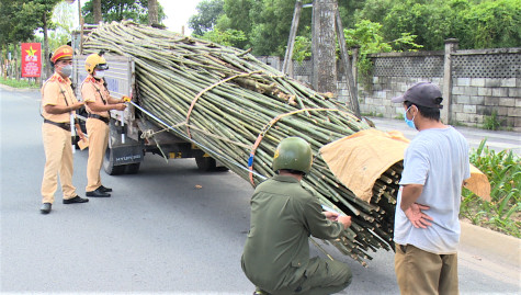 TP.Thủ Dầu Một: Quý I-2023 lập biên bản gần 7.000 trường hợp vi phạm trật tự an toàn giao thông