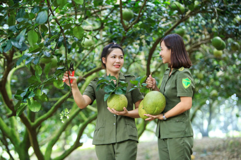 Tân Uyên - nguồn cảm hứng sáng tác bất tận