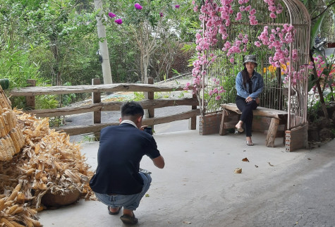 Vườn cây có múi thu hút mạnh du khách