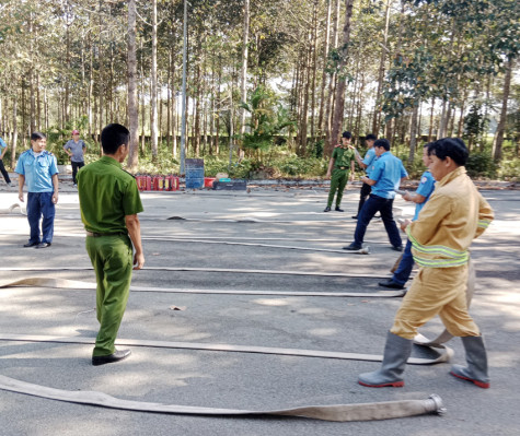 Chủ động phòng ngừa, chống cháy trong vườn cao su