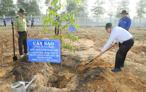 Bình Dương: Phát động Tết trồng cây “Đời đời nhớ ơn Bác Hồ”