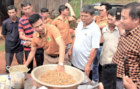 Đi học làm nông nghiệp hữu cơ