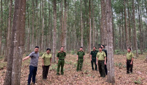 Chi cục kiểm lâm Bình Dương: Bảo vệ, phát triển, phòng chống cháy rừng hiệu quả