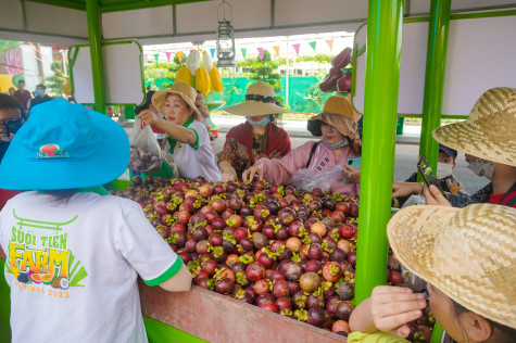 Món gỏi gà măng cụt Bình Dương phục vụ du khách tại lễ hội trái cây Nam bộ 2023