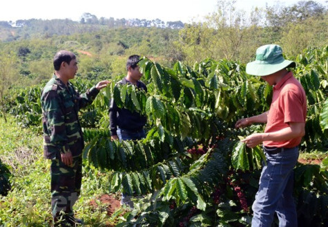 Thành tựu giảm nghèo đa chiều ở vùng đồng bào dân tộc thiểu số