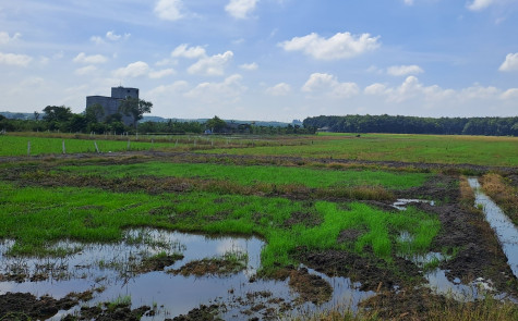 Ngăn chặn hành vi tận diệt chim hoang dã