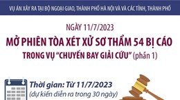 Xét xử sơ thẩm 54 bị cáo trong vụ 'chuyến bay giải cứu'