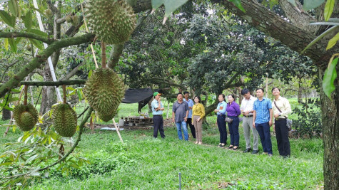 Xây dựng nông thôn mới nâng cao, kiểu mẫu