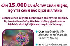 Bộ Y tế cảnh báo dịch gia tăng với gần 15.000 ca mắc tay chân miệng