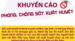 Bộ Y tế khuyến cáo phòng, chống sốt xuất huyết