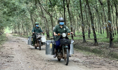 Nhiều giải pháp chăm lo tốt đời sống công nhân lao động