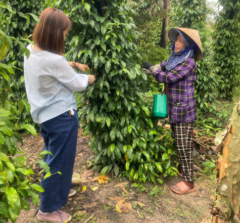 Ý tưởng, đam mê là “chìa khóa” để thành công