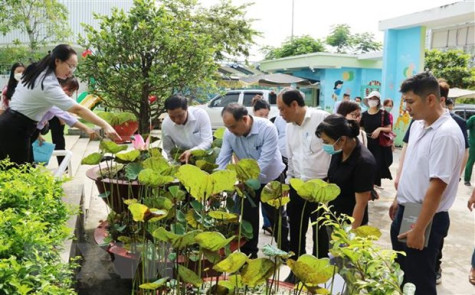 TP.HCM: Sốt xuất huyết gia tăng, xuất hiện nhiều ca bệnh nặng