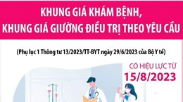 Khung giá khám bệnh, khung giá giường điều trị theo yêu cầu từ 15-8