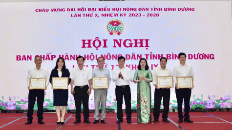 Hội nghị Ban chấp hành Hội Nông dân tỉnh lần thứ 13, khóa IX