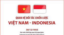 Quan hệ Đối tác Chiến lược Việt Nam-Indonesia