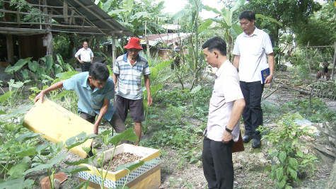 Hiệu quả từ mô hình ủ rác hữu cơ làm phân bón