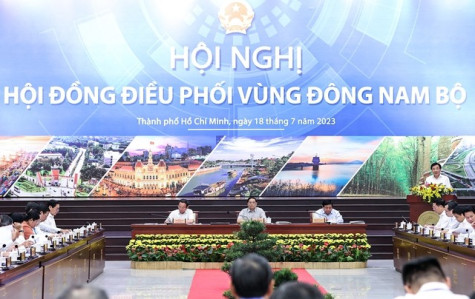 Nâng cao hiệu lực, hiệu quả của các hội đồng điều phối vùng