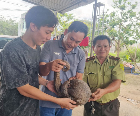 Người dân chung tay bảo vệ động vật hoang dã