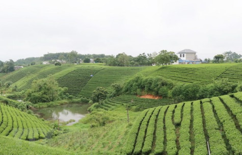 Thái Nguyên: Phát triển du lịch sinh thái, hướng đi mới của Đại Từ