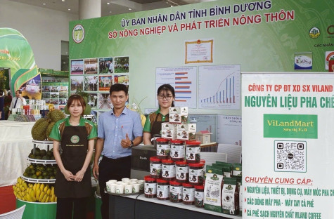 Doanh nghiệp Việt đẩy mạnh thương mại điện tử