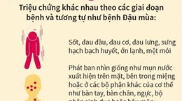 Bệnh Đậu mùa Khỉ: Triệu chứng và các biện pháp phòng bệnh